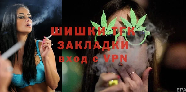 ПСИЛОЦИБИНОВЫЕ ГРИБЫ Горно-Алтайск