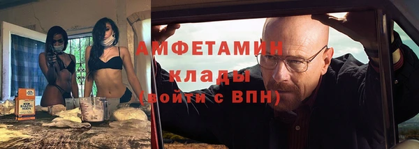 ПСИЛОЦИБИНОВЫЕ ГРИБЫ Горно-Алтайск