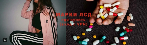 ПСИЛОЦИБИНОВЫЕ ГРИБЫ Горно-Алтайск