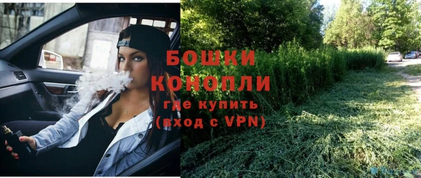 эйфоретик Горняк