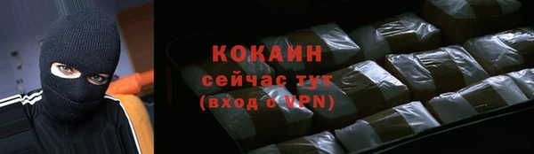 ПСИЛОЦИБИНОВЫЕ ГРИБЫ Горно-Алтайск
