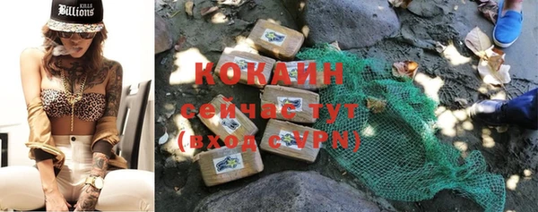 ПСИЛОЦИБИНОВЫЕ ГРИБЫ Горно-Алтайск