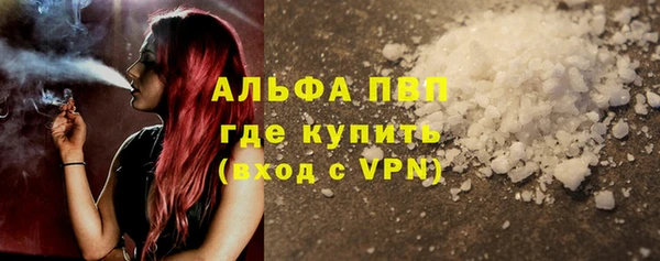 спайс Вяземский