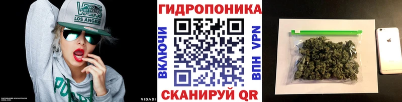 Конопля Amnesia  Зарайск 